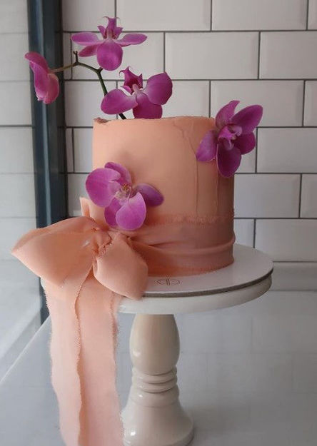 DREAM için detaylar