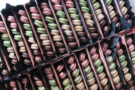 MAKARON KUTUSU 10 KURUMSAL resmi