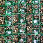 KURUMSAL KUCUK CARE PACKAGE için detaylar